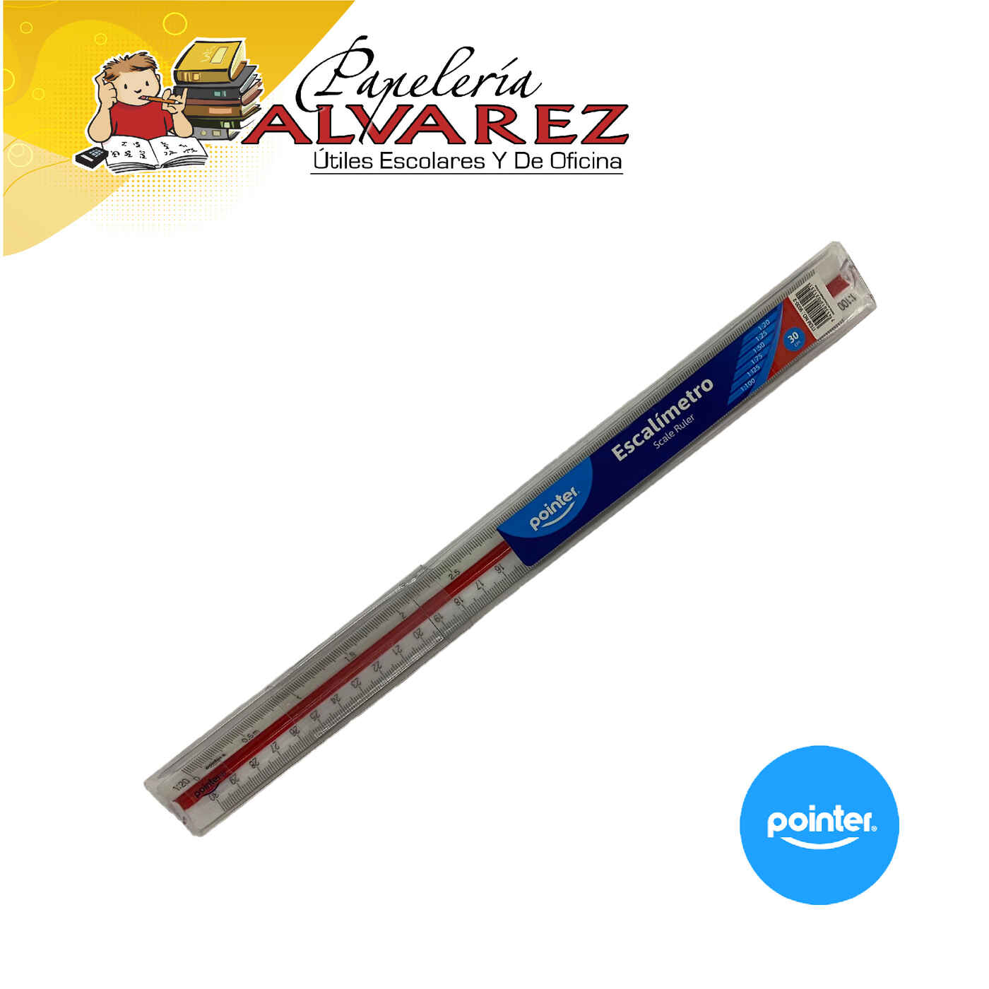 Imagen de ESCALIMETRO METALICO POINTER 30CM